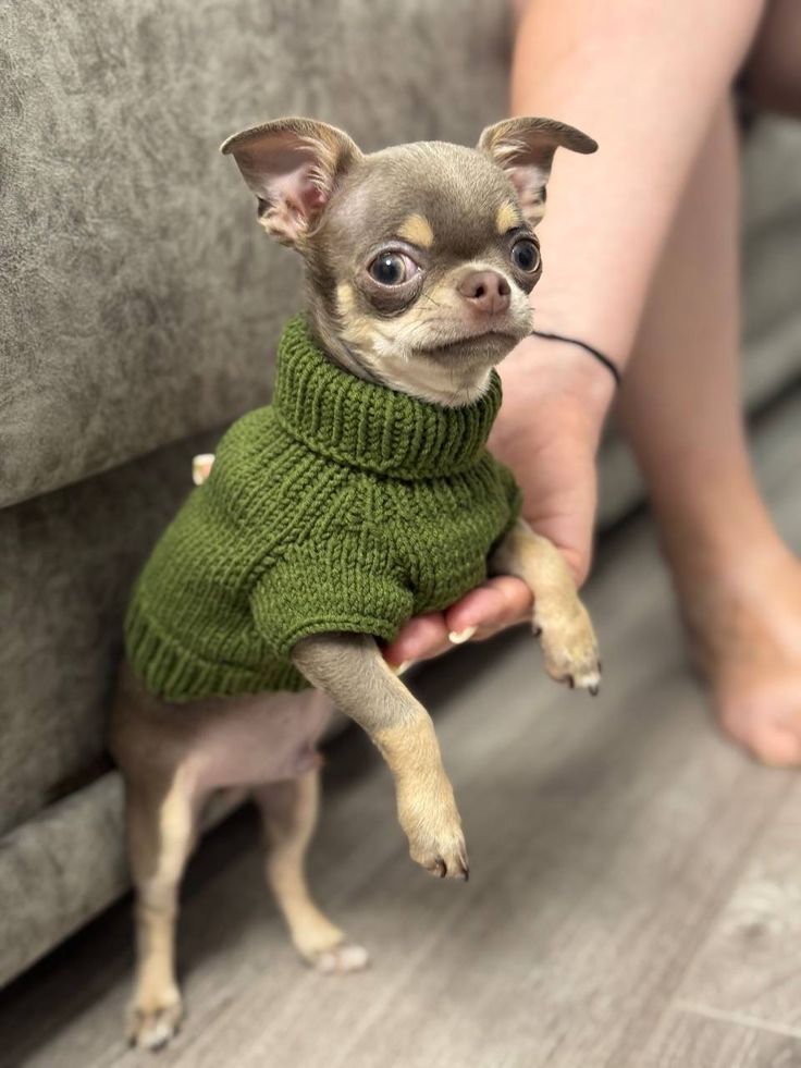 Wuff&Wolle™ Komfort-Pullover