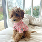 Wuff&Wolle™ Flausch-Pullover