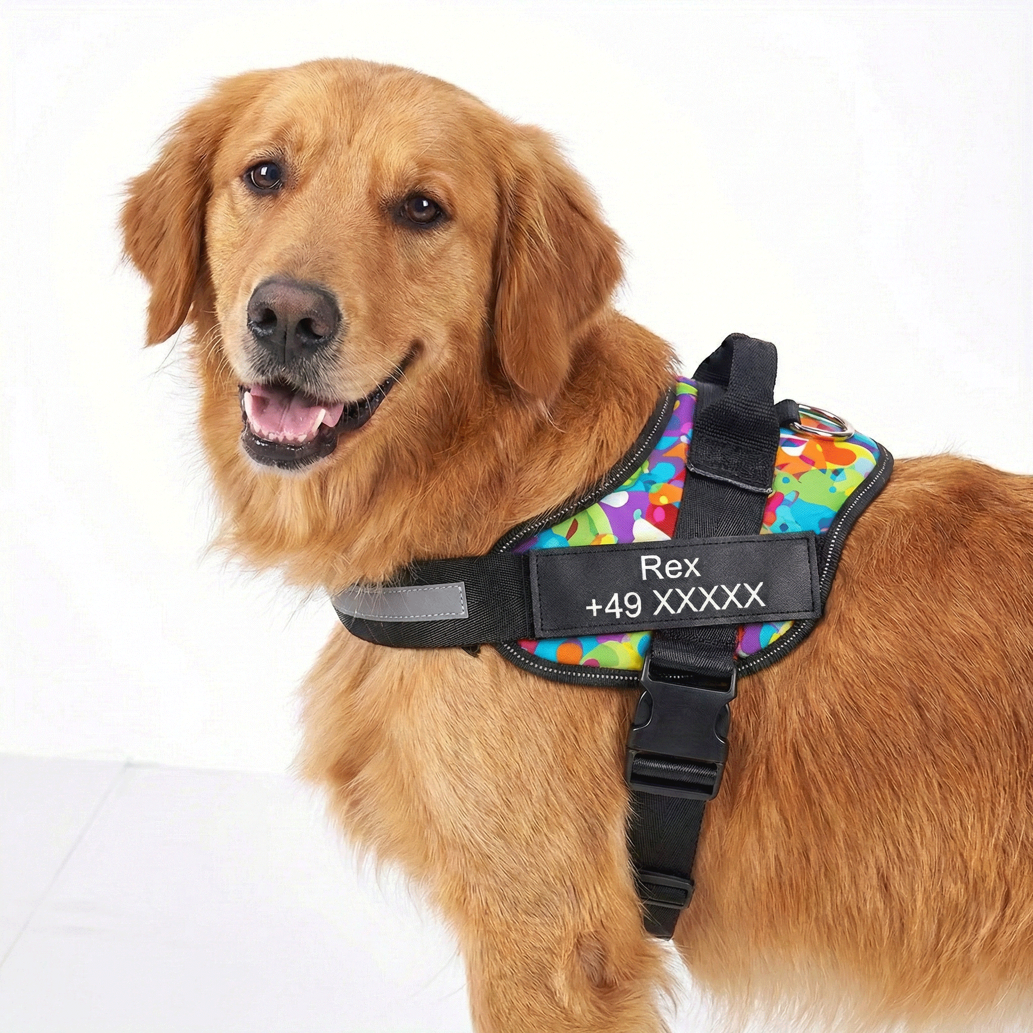 W&W™ HeimwegPro Hundegeschirr