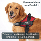 W&W™ HeimwegPro Hundegeschirr