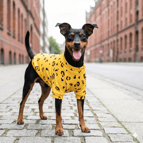 Wuff&Wolle™ Flausch-Pullover