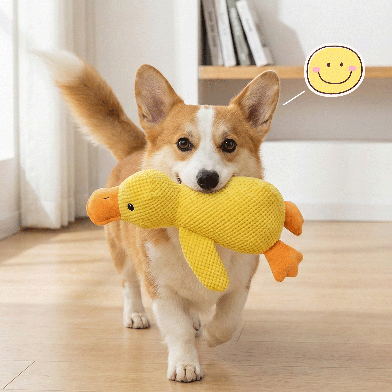 W&W™ QuakFreund Kuschelente