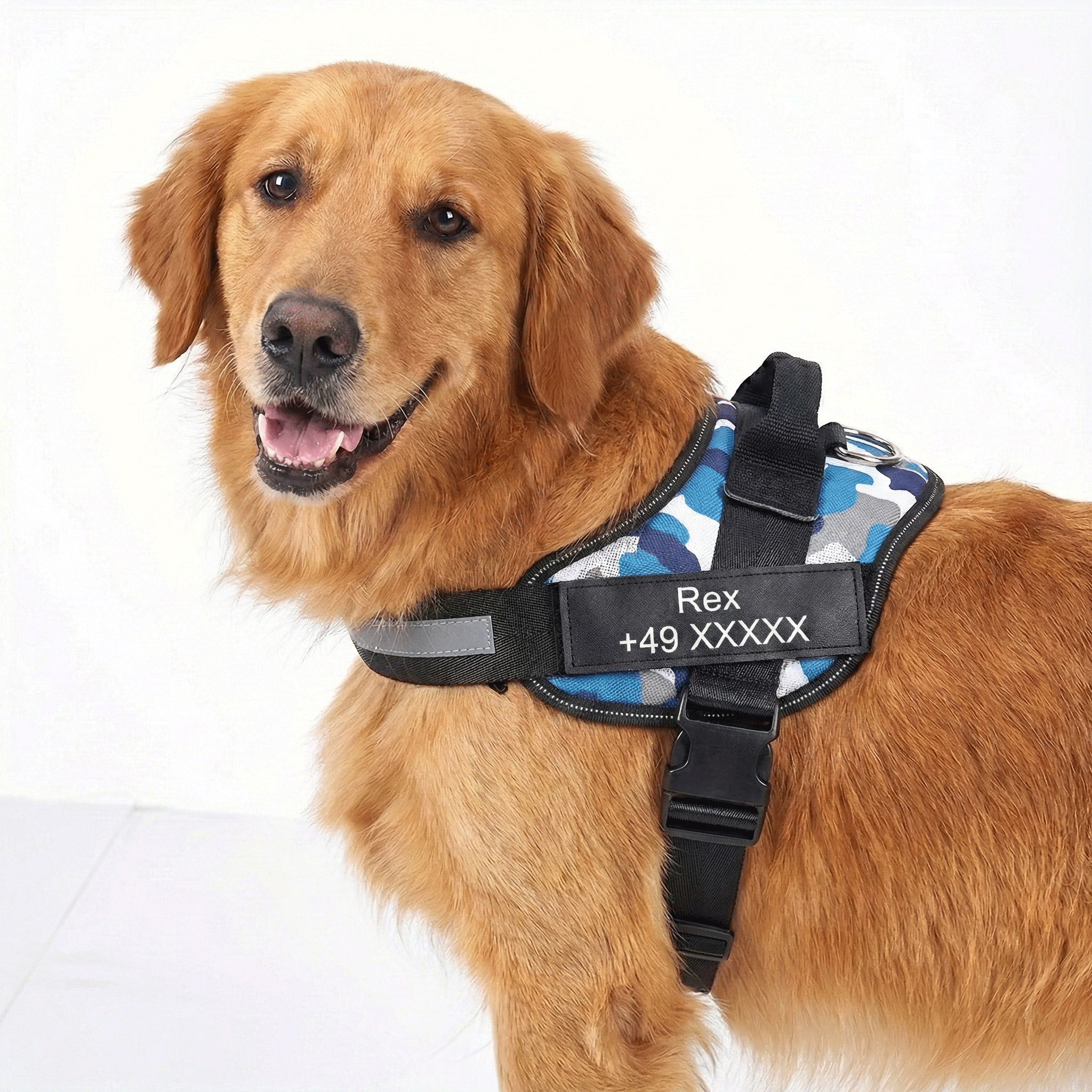 W&W™ HeimwegPro Hundegeschirr