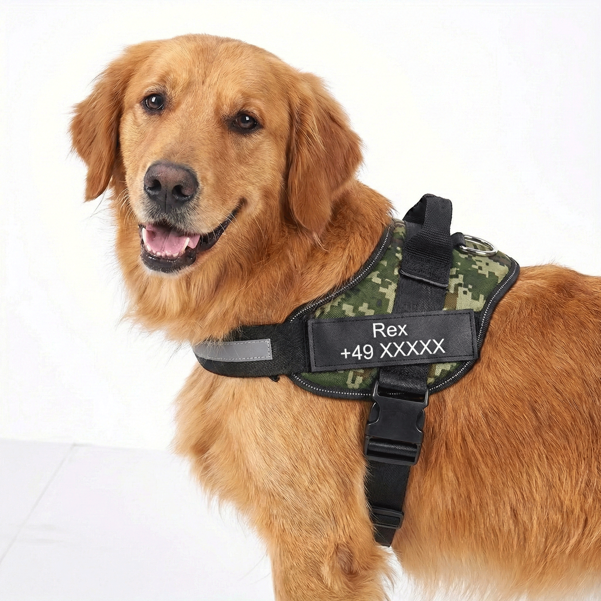 W&W™ HeimwegPro Hundegeschirr