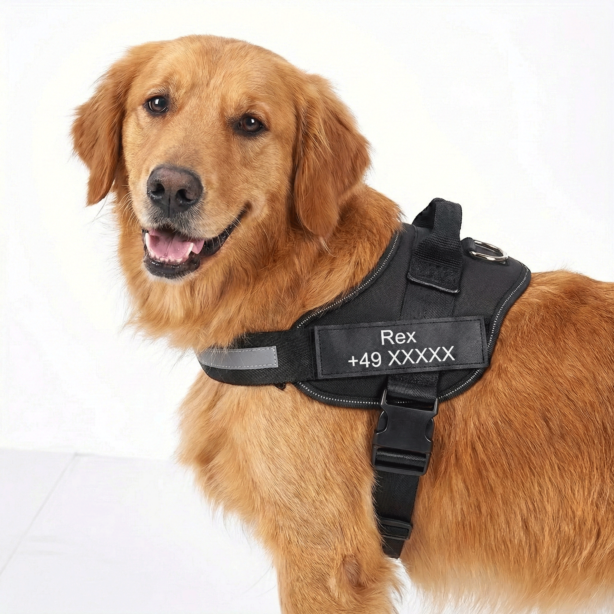 W&W™ HeimwegPro Hundegeschirr