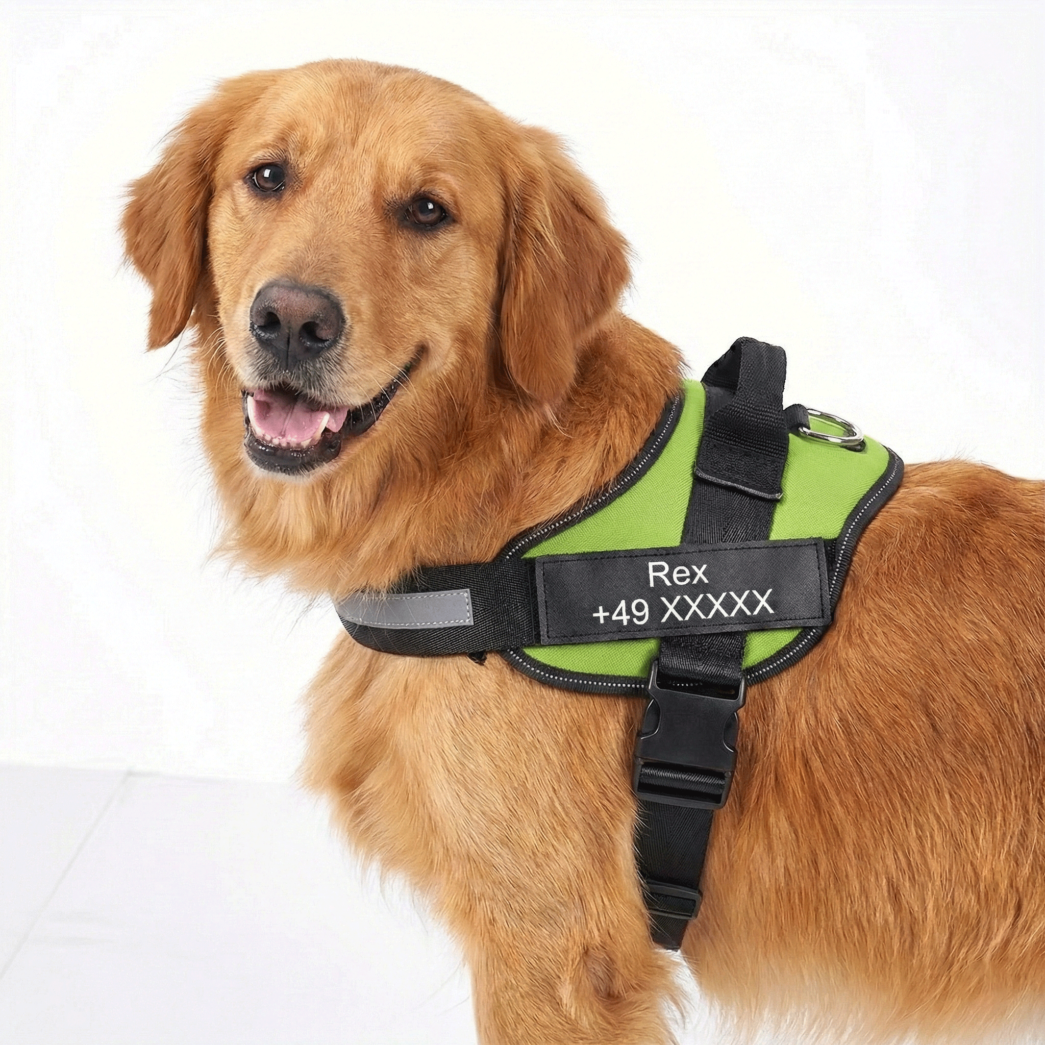 W&W™ HeimwegPro Hundegeschirr