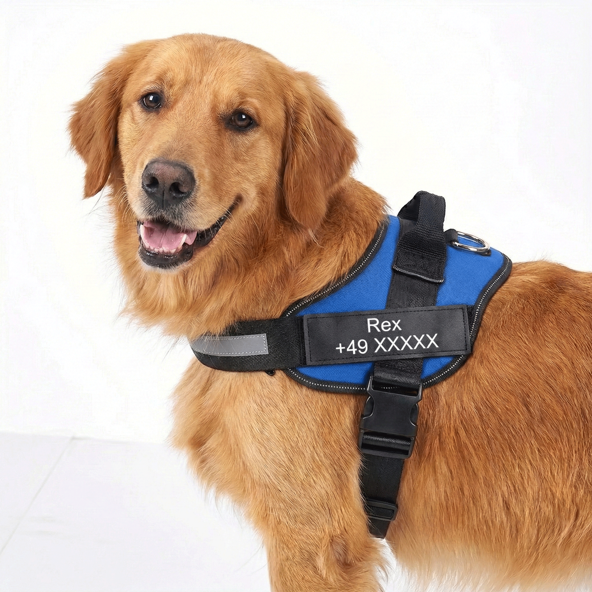 W&W™ HeimwegPro Hundegeschirr