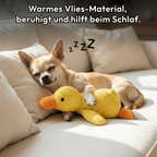W&W™ QuakFreund Kuschelente
