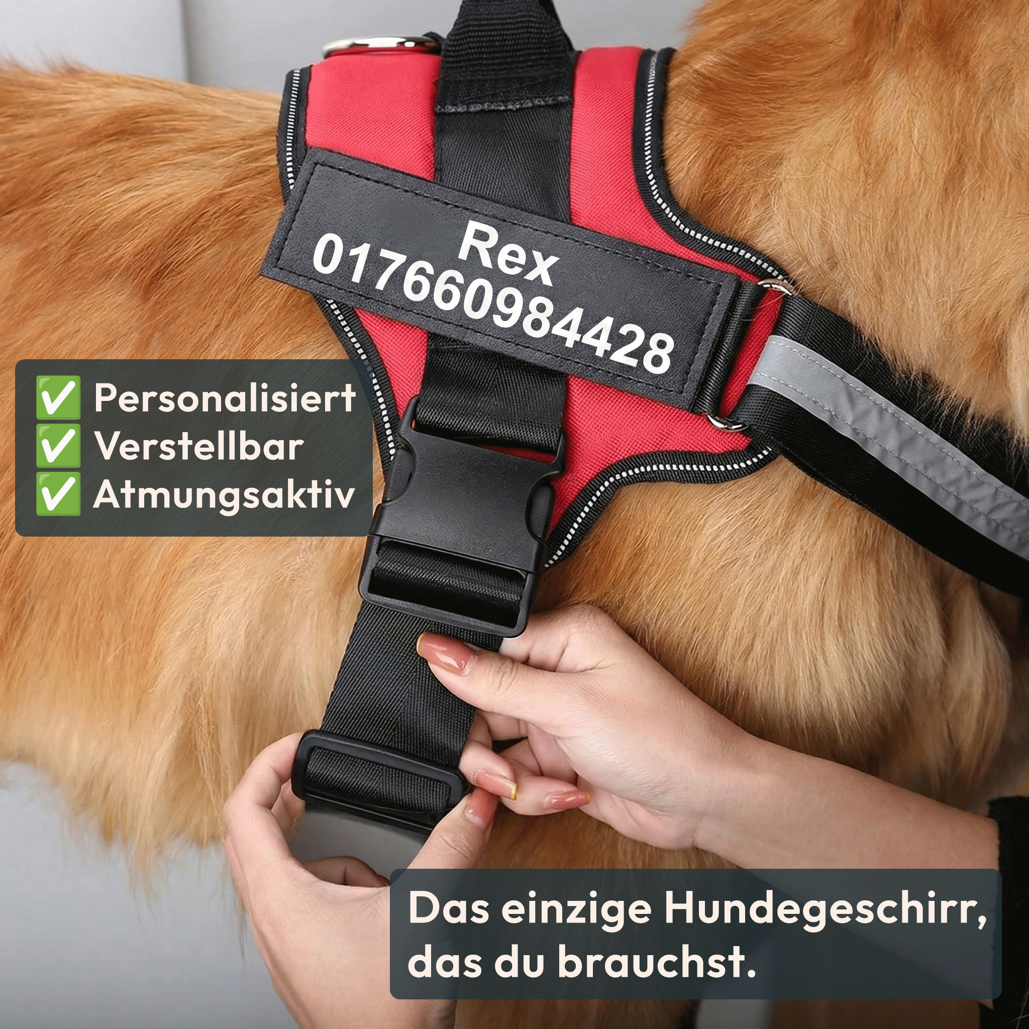 W&W™ HeimwegPro Hundegeschirr