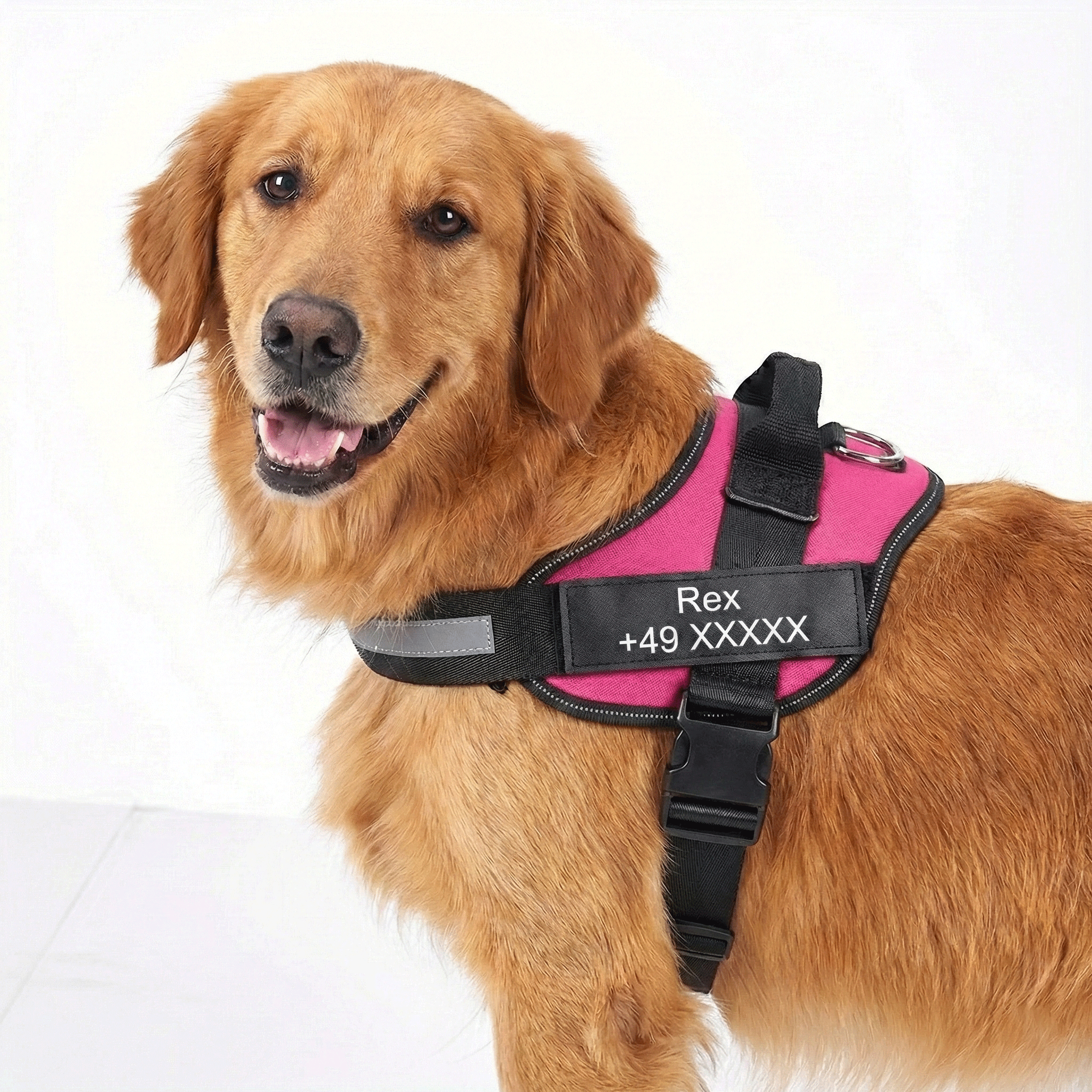 W&W™ HeimwegPro Hundegeschirr