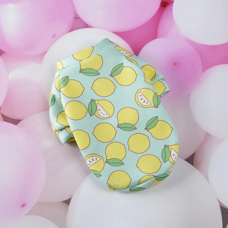 Wuff&Wolle™ Flausch-Pullover