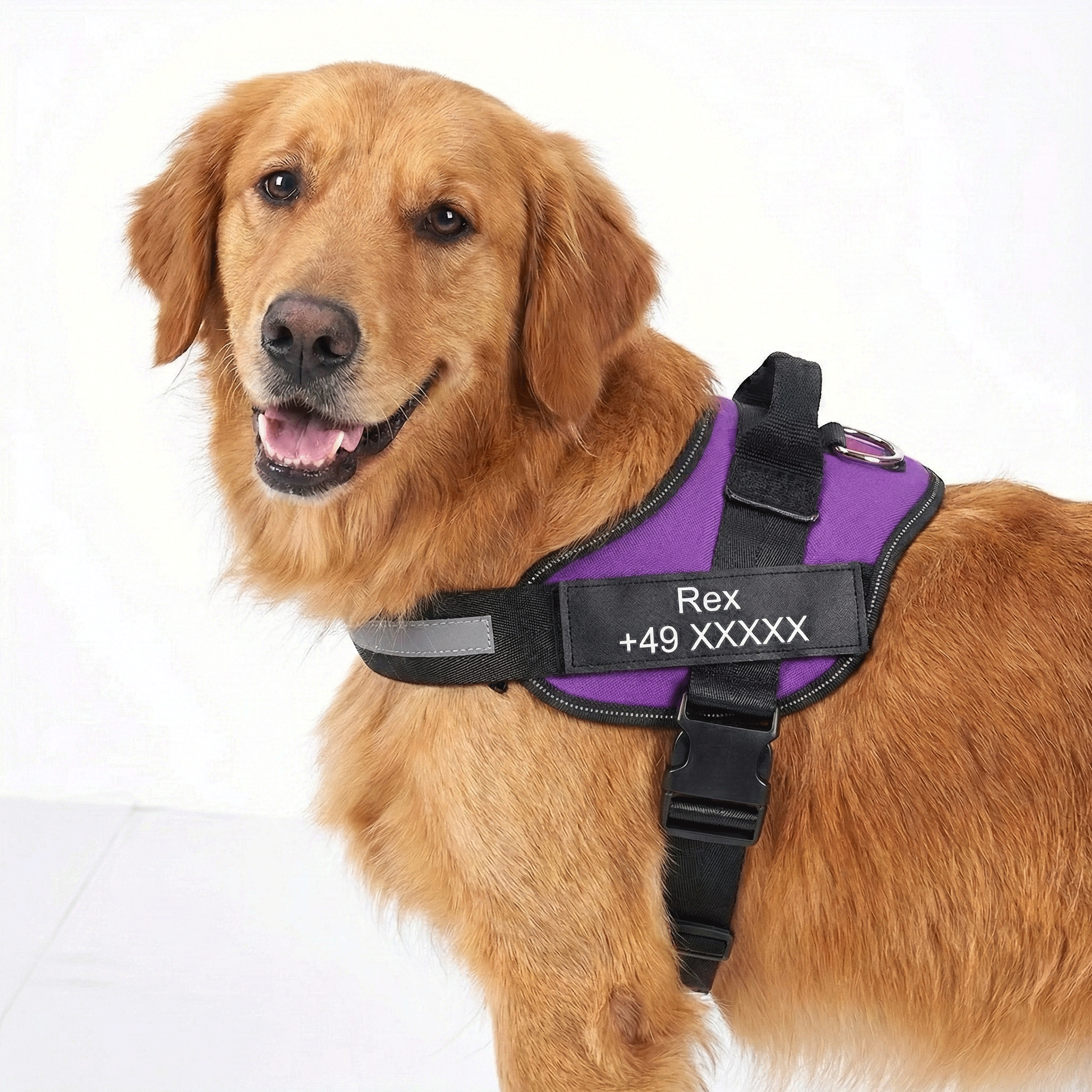 W&W™ HeimwegPro Hundegeschirr