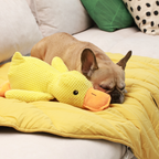 W&W™ QuakFreund Kuschelente